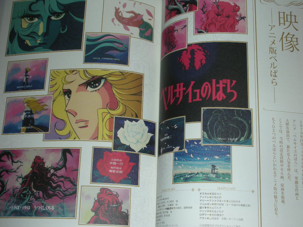 Rose Of Versailles 40th Riyoko Ikeda Exhibition Visual Guide Art Book Ebay