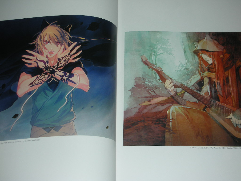 Lamento Beyond the Void Official Visual Fan Art Book Green Notes