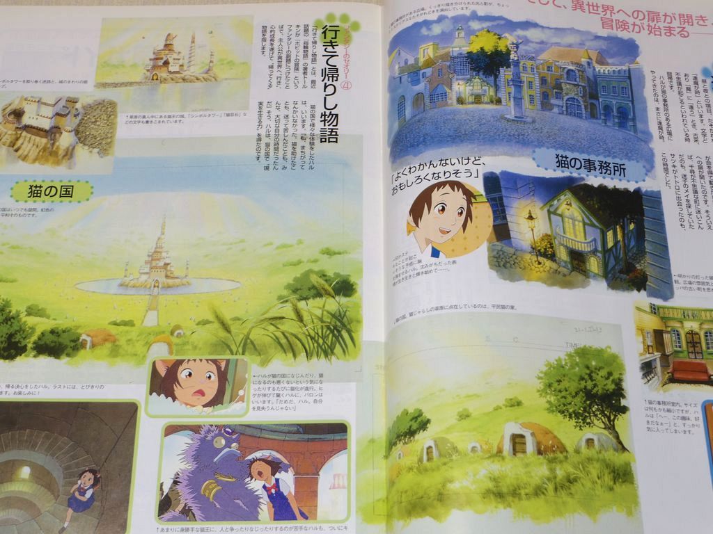 El Libro Guia De Devoluciones De Gato Arte Studio Ghibli Anime Ebay